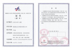 系統(tǒng)集成甲級(jí)